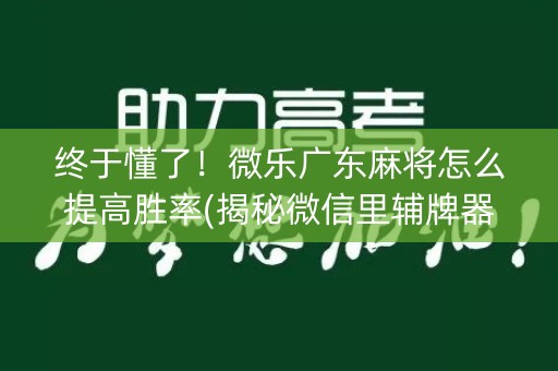 终于懂了！微乐广东麻将怎么提高胜率(揭秘微信里辅牌器)