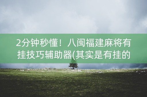 2分钟秒懂！八闽福建麻将有挂技巧辅助器(其实是有挂的)