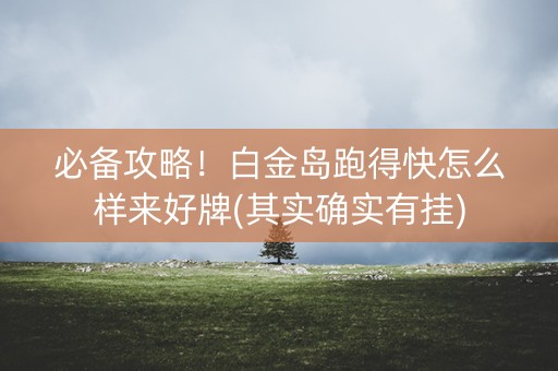 必备攻略！白金岛跑得快怎么样来好牌(其实确实有挂)