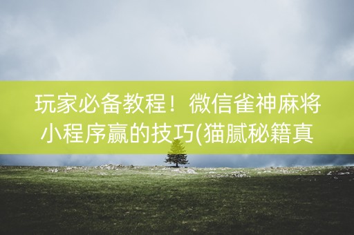玩家必备教程！微信雀神麻将小程序赢的技巧(猫腻秘籍真的有挂)