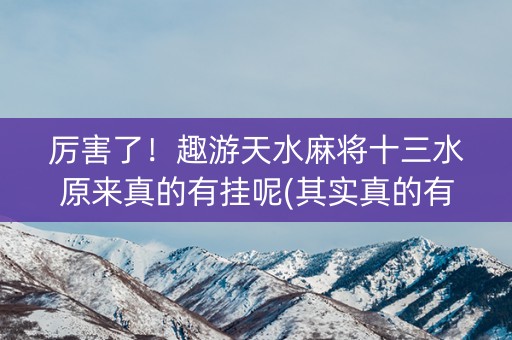 厉害了！趣游天水麻将十三水原来真的有挂呢(其实真的有挂)