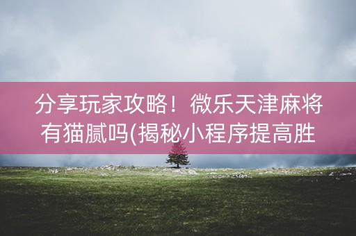 分享玩家攻略！微乐天津麻将有猫腻吗(揭秘小程序提高胜率)