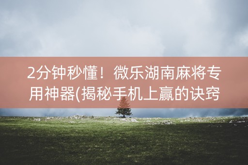 2分钟秒懂！微乐湖南麻将专用神器(揭秘手机上赢的诀窍)