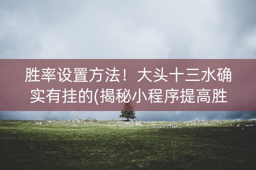 胜率设置方法！大头十三水确实有挂的(揭秘小程序提高胜率)