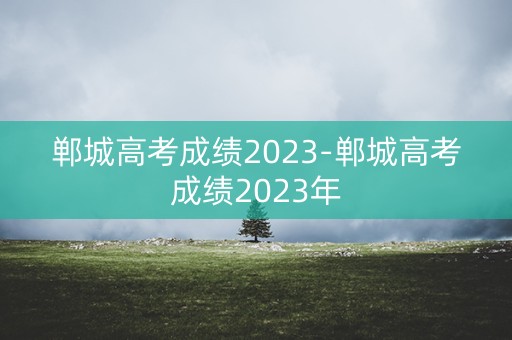 郸城高考成绩2023-郸城高考成绩2023年