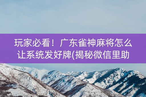玩家必看！广东雀神麻将怎么让系统发好牌(揭秘微信里助手软件)