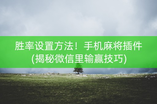 胜率设置方法！手机麻将插件(揭秘微信里输赢技巧)