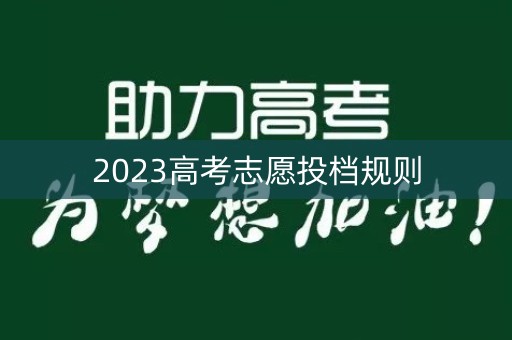 2023高考志愿投档规则