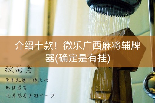 介绍十款！微乐广西麻将辅牌器(确定是有挂)