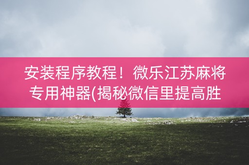 安装程序教程！微乐江苏麻将专用神器(揭秘微信里提高胜率)