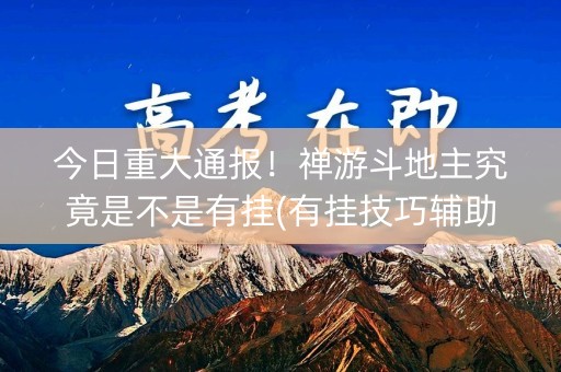 今日重大通报！禅游斗地主究竟是不是有挂(有挂技巧辅助器)