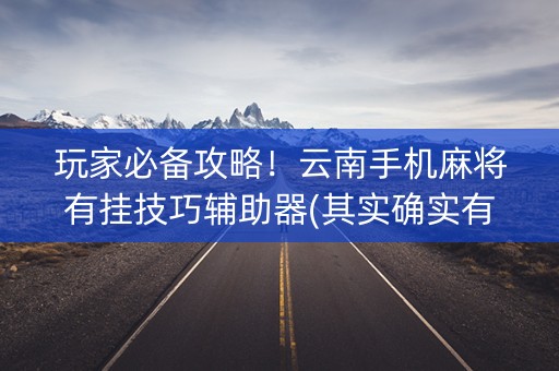 玩家必备攻略！云南手机麻将有挂技巧辅助器(其实确实有挂)