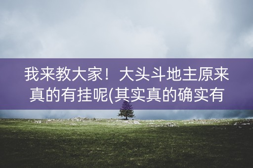 我来教大家！大头斗地主原来真的有挂呢(其实真的确实有挂)