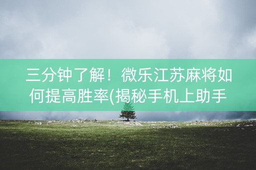 三分钟了解！微乐江苏麻将如何提高胜率(揭秘手机上助手软件)