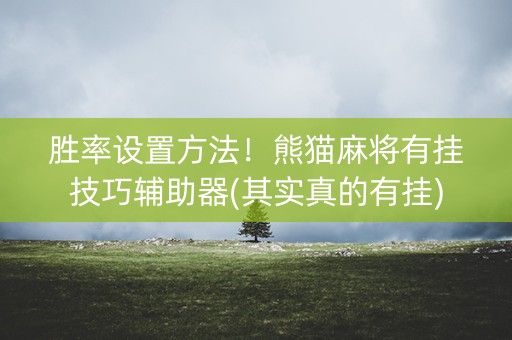 胜率设置方法！熊猫麻将有挂技巧辅助器(其实真的有挂)