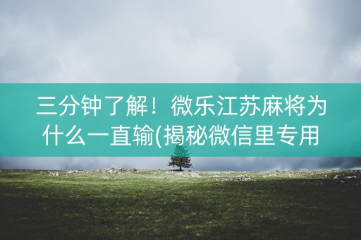 三分钟了解！微乐江苏麻将为什么一直输(揭秘微信里专用神器)