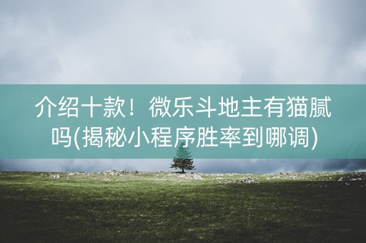 介绍十款！微乐斗地主有猫腻吗(揭秘小程序胜率到哪调)