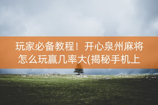 玩家必备教程！开心泉州麻将怎么玩赢几率大(揭秘手机上助手软件)