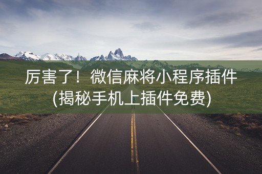 厉害了！微信麻将小程序插件(揭秘手机上插件免费)