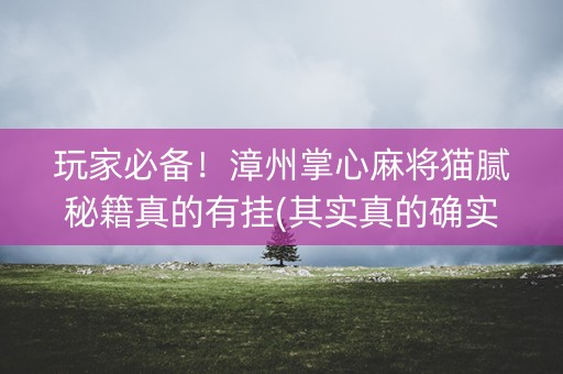 玩家必备！漳州掌心麻将猫腻秘籍真的有挂(其实真的确实有挂)