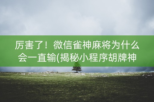 厉害了！微信雀神麻将为什么会一直输(揭秘小程序胡牌神器)