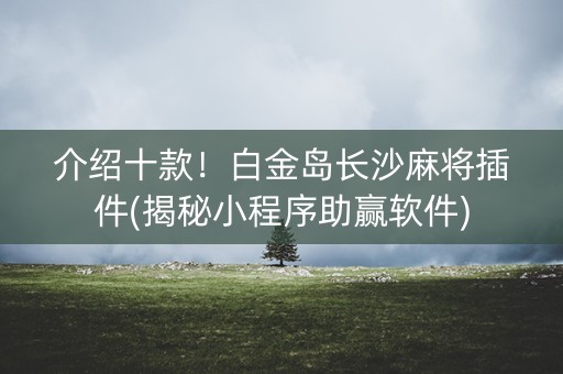 介绍十款！白金岛长沙麻将插件(揭秘小程序助赢软件)
