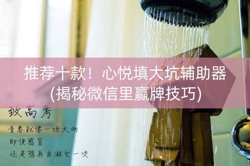 推荐十款！心悦填大坑辅助器(揭秘微信里赢牌技巧)