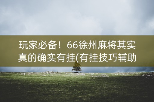 玩家必备！66徐州麻将其实真的确实有挂(有挂技巧辅助器)