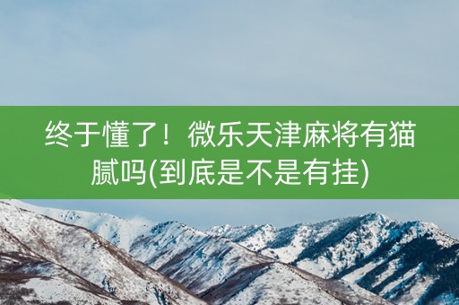 终于懂了！微乐天津麻将有猫腻吗(到底是不是有挂)
