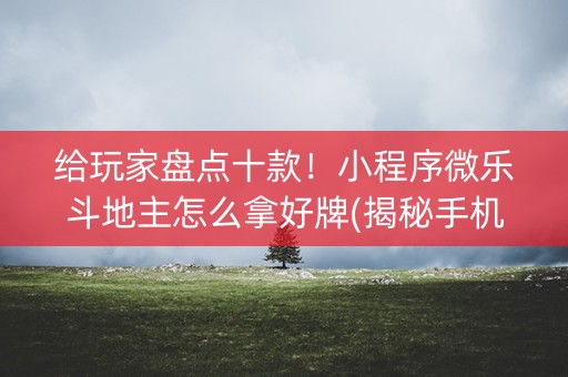 给玩家盘点十款！小程序微乐斗地主怎么拿好牌(揭秘手机上规律攻略)
