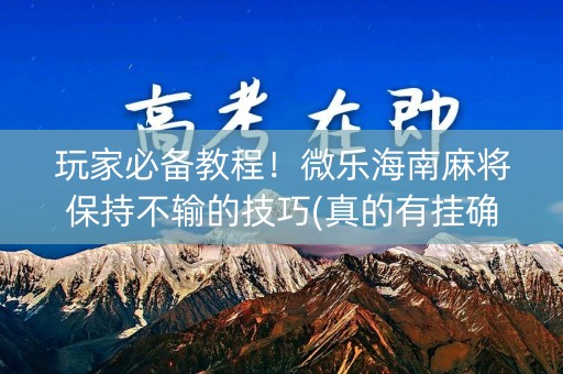 玩家必备教程！微乐海南麻将保持不输的技巧(真的有挂确实有挂)