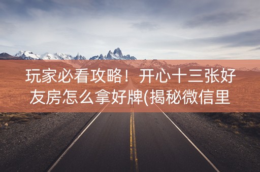 玩家必看攻略！开心十三张好友房怎么拿好牌(揭秘微信里攻略插件)