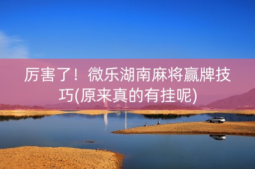厉害了！微乐湖南麻将赢牌技巧(原来真的有挂呢)