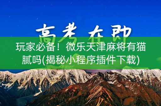 玩家必备！微乐天津麻将有猫腻吗(揭秘小程序插件下载)