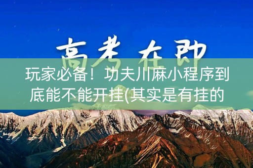 玩家必备！功夫川麻小程序到底能不能开挂(其实是有挂的)