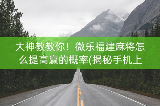 大神教教你！微乐福建麻将怎么提高赢的概率(揭秘手机上插件下载)
