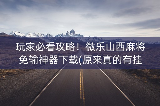 玩家必看攻略！微乐山西麻将免输神器下载(原来真的有挂)