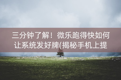 三分钟了解！微乐跑得快如何让系统发好牌(揭秘手机上提高胜率)