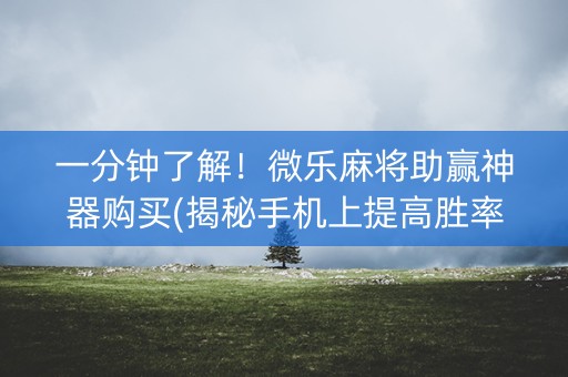 一分钟了解！微乐麻将助赢神器购买(揭秘手机上提高胜率)