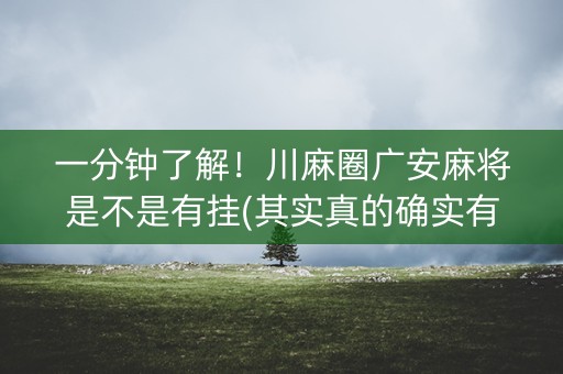 一分钟了解！川麻圈广安麻将是不是有挂(其实真的确实有挂)