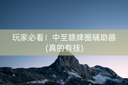 玩家必看！中至赣牌圈辅助器(真的有挂)