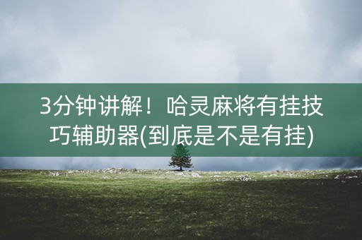 3分钟讲解！哈灵麻将有挂技巧辅助器(到底是不是有挂)