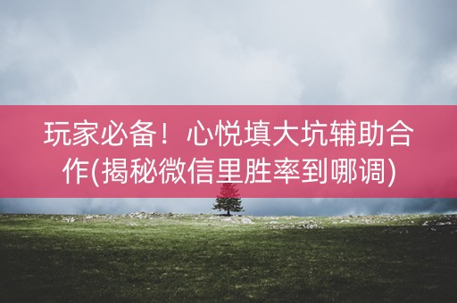 玩家必备！心悦填大坑辅助合作(揭秘微信里胜率到哪调)