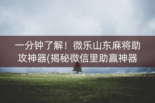一分钟了解！微乐山东麻将助攻神器(揭秘微信里助赢神器)