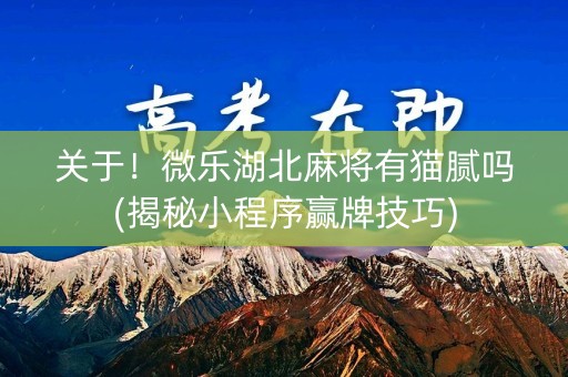 关于！微乐湖北麻将有猫腻吗(揭秘小程序赢牌技巧)