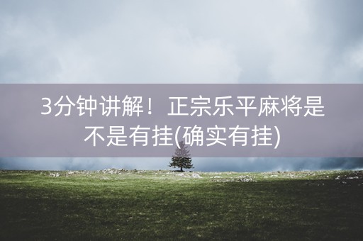 3分钟讲解！正宗乐平麻将是不是有挂(确实有挂)