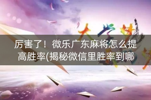 厉害了！微乐广东麻将怎么提高胜率(揭秘微信里胜率到哪调)