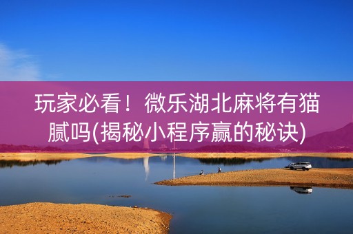 玩家必看！微乐湖北麻将有猫腻吗(揭秘小程序赢的秘诀)