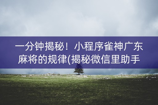 一分钟揭秘！小程序雀神广东麻将的规律(揭秘微信里助手软件)