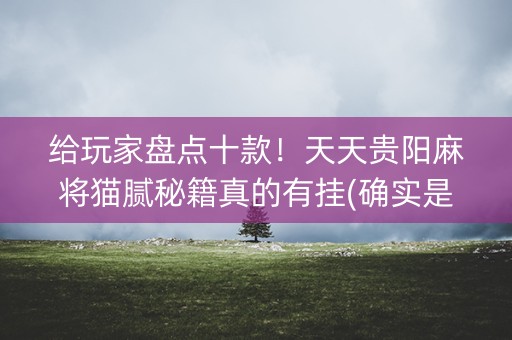 给玩家盘点十款！天天贵阳麻将猫腻秘籍真的有挂(确实是有挂)